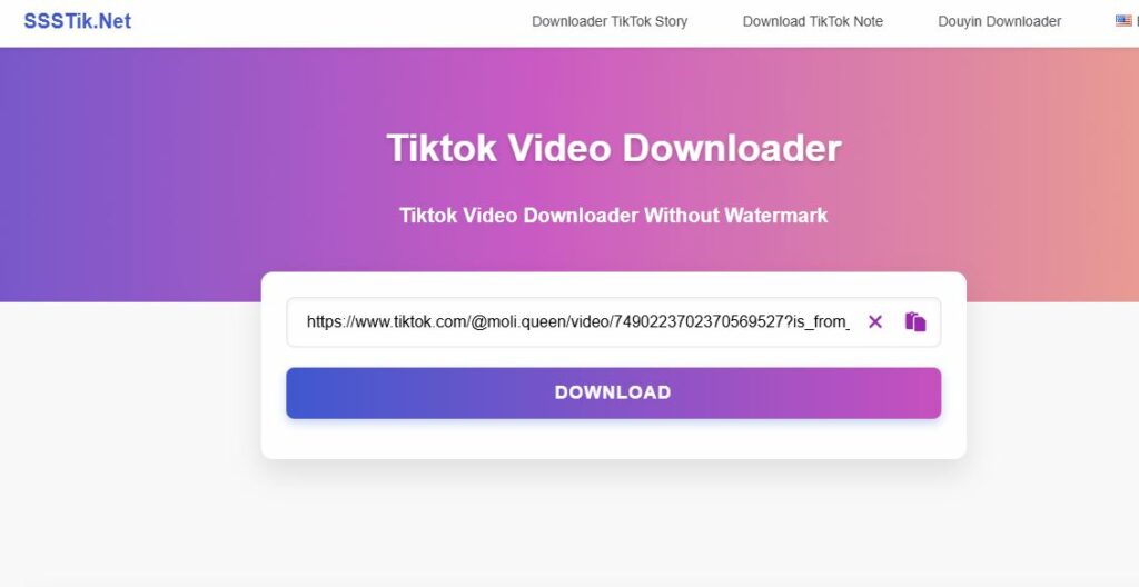 Paste the Link into the Input Box