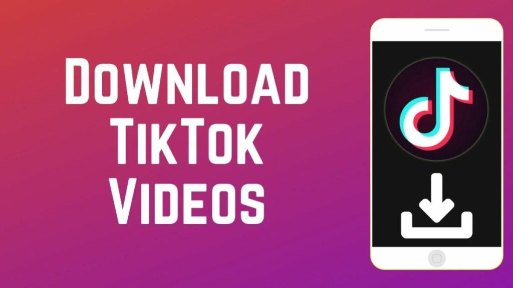Best tiktok video downloader